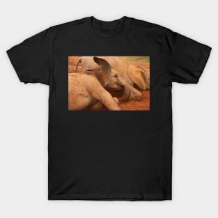 Baby Elephants Playtime T-Shirt